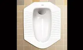 Indian_Toilet4[1]-6757095-25170.webp